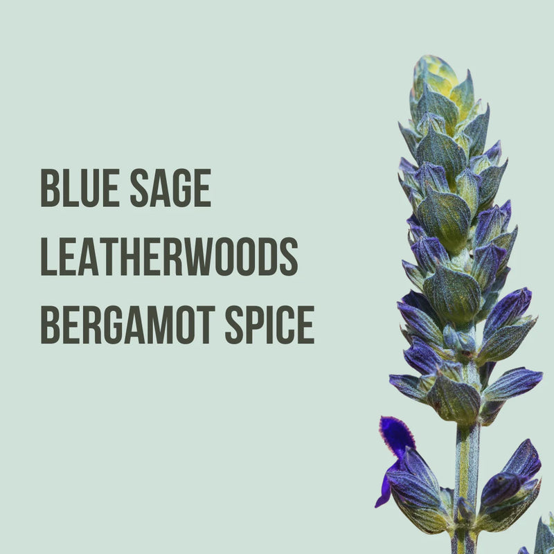 Come Find Me Fragrance