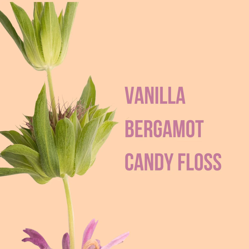 Secret Crush Fragrance