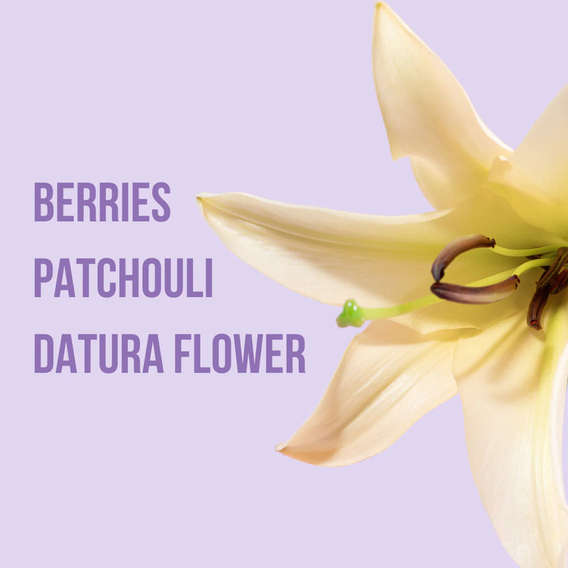 Leading You On Fragrance