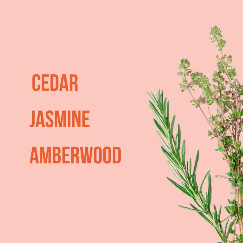 Locked In Love Fragrance